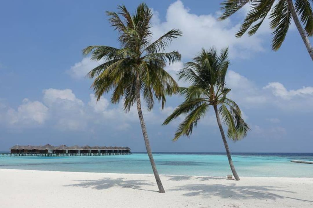 Strandblick Outrigger Maldives Maafushivaru Resort