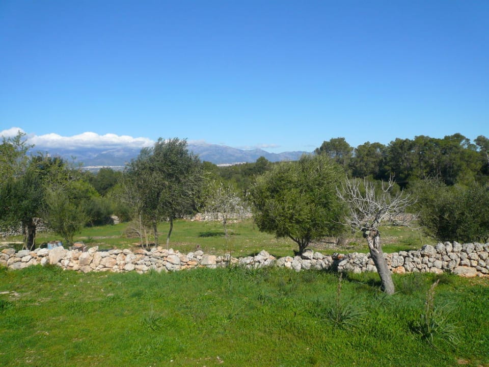 Schöner Ausblick Finca Frederica