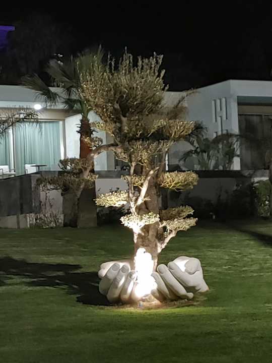 Gartenanlage Acapulco Beach Club & Resort