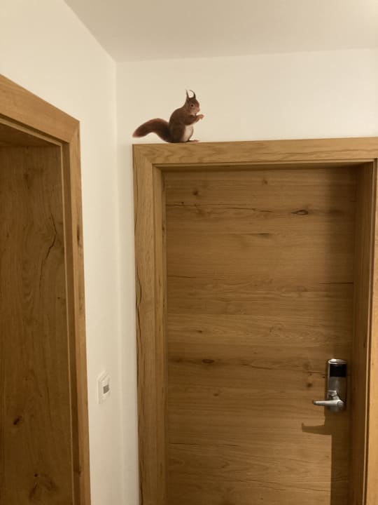 Sonstiges Hotel Kirnbacher Hof