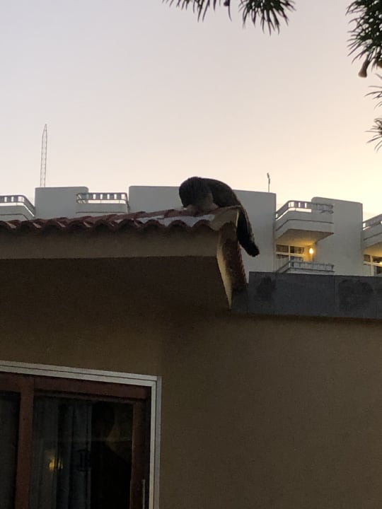 Sonstiges HL Miraflor Suites Hotel