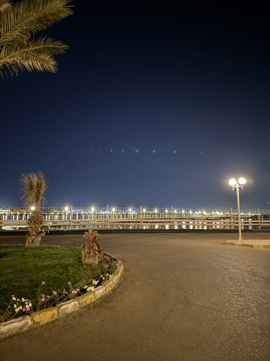 Ausblick Desert Rose