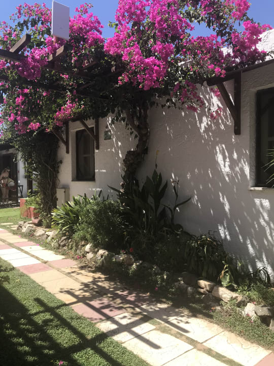 Gartenanlage Gaia Garden Hotel