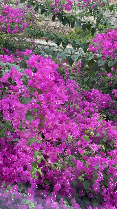 Gartenanlage Costa 3s Beach Hotel All Inclusive