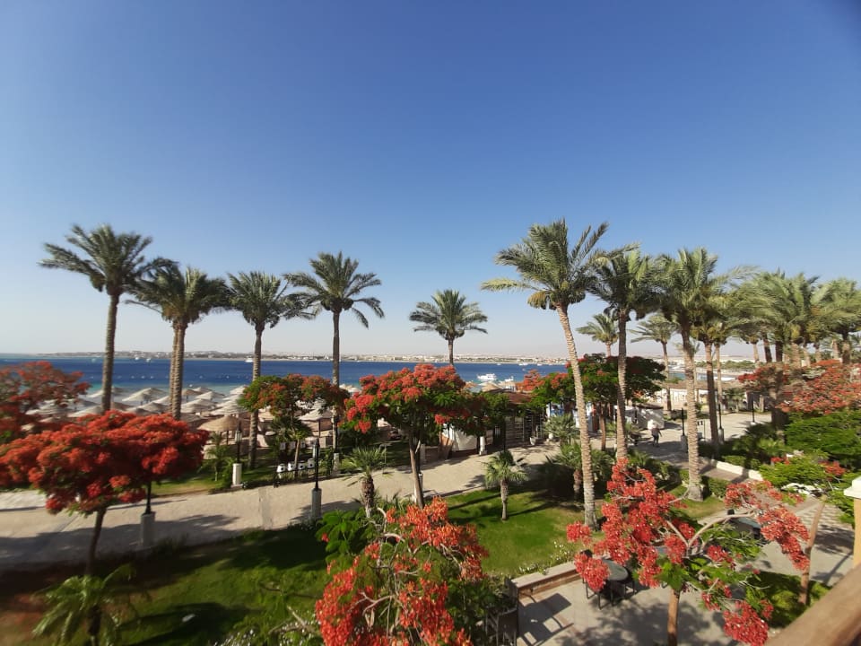 Ausblick Grand Waterworld Makadi & Family Star Makadi