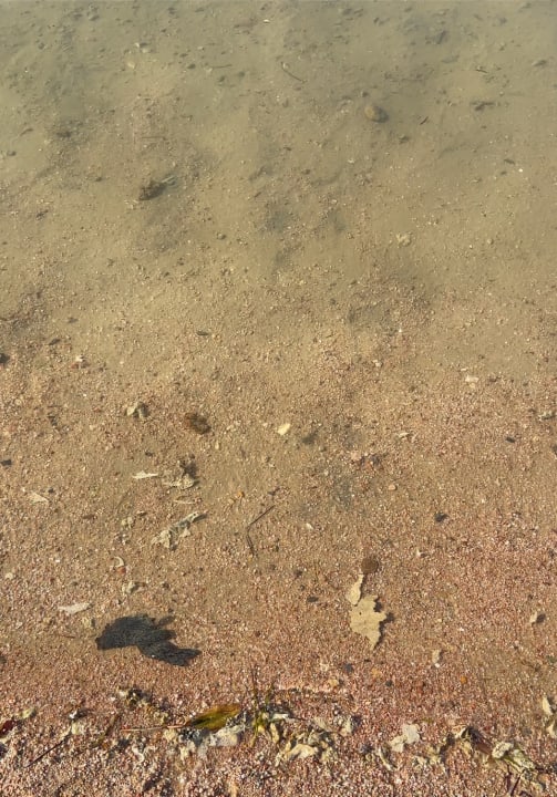 Strand AMC Royal Hotel & SPA