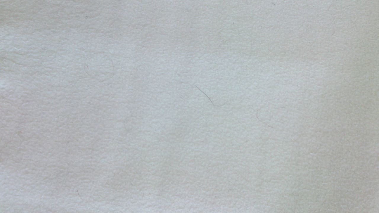 Haare auf dem Matratzenschoner Suite Dorint Hotel Esplanade Jena