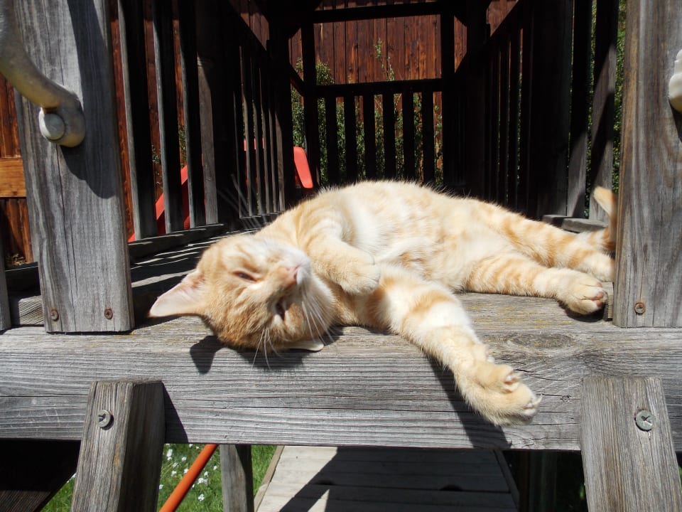 Sonstiges Ferienhof - Bauernhof Hefele