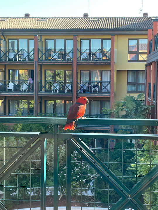 Ausblick Parc Hotel Gritti