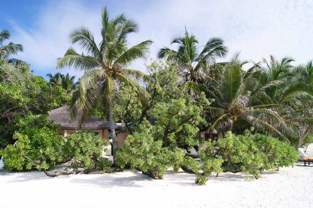 Wunderschöne Natur Summer Island Maldives