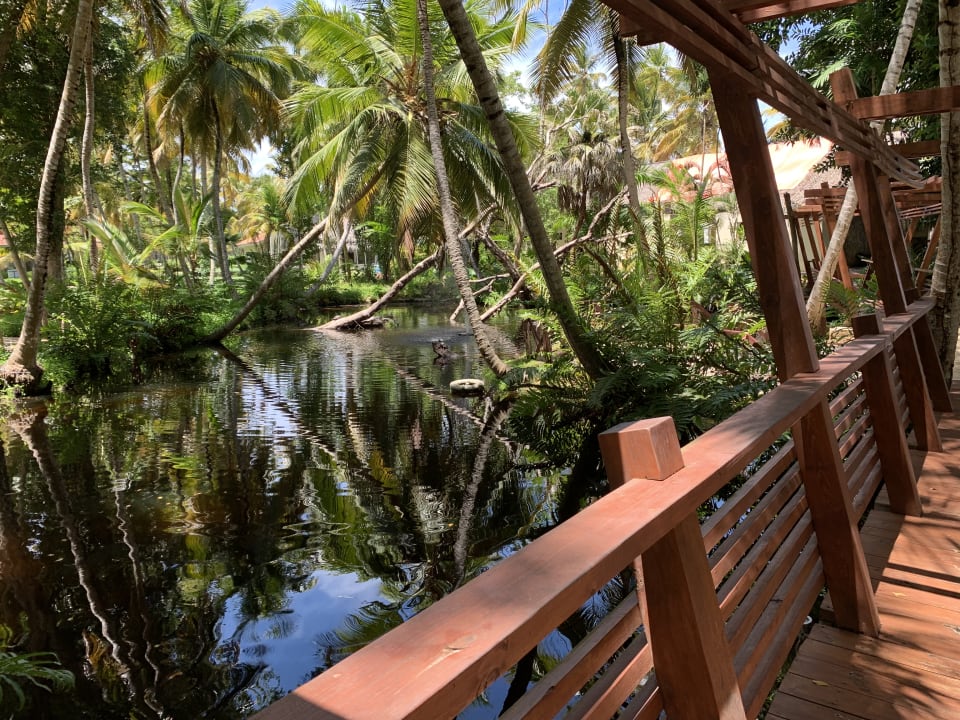 Gartenanlage Wyndham Alltra Samana