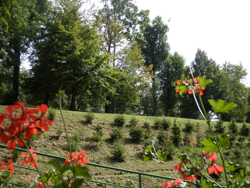 Okolí hotelu Lysec Kurhotel Lysec