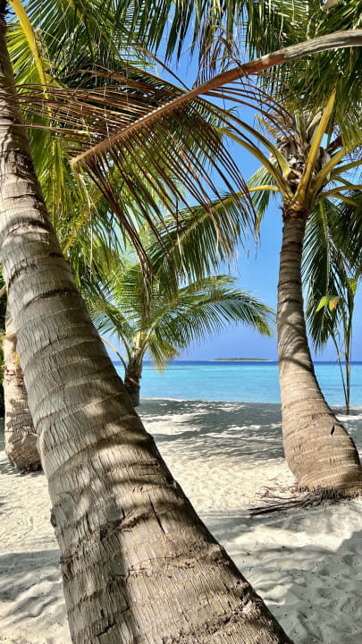 Ausblick NH Collection Maldives Havodda Resort