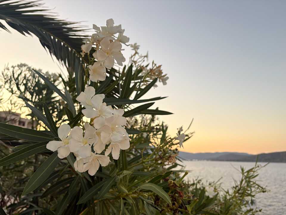 Gartenanlage AQUILA Elounda Village Hotel