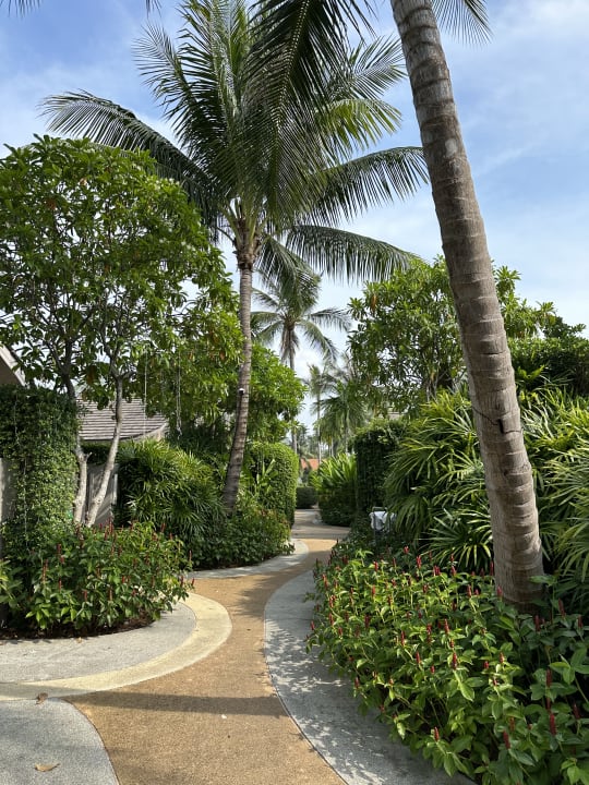 Gartenanlage AVANI+ Samui Resort