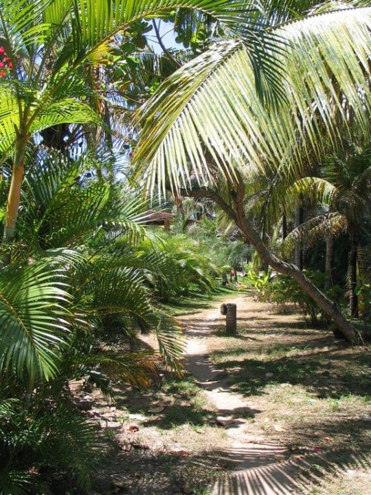 Weg zum Strand Teil 1 Hotel Porto Zarpa