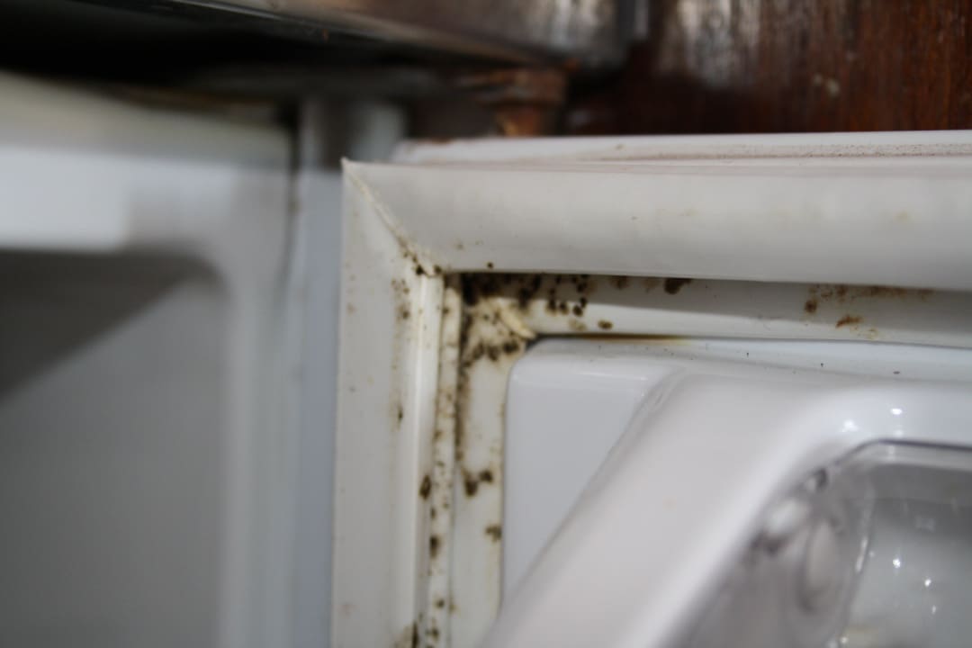 Schimmel im Kühlschrank Hotel Baia Cristal