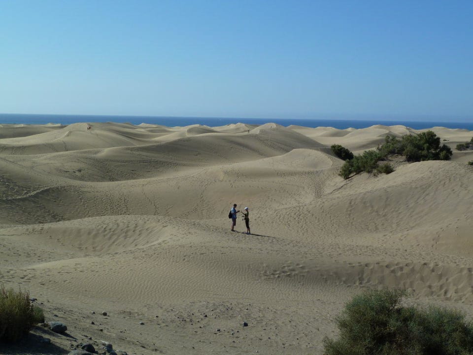 Blick auf die Dünen Hotel Riu Palace Maspalomas Adults Only