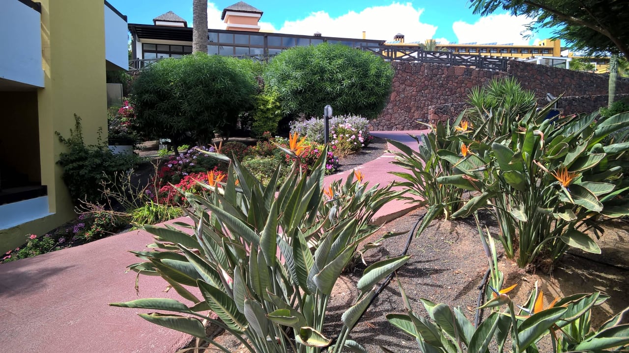 Weg durch die Anlage Occidental Jandía Royal Level - Adults only