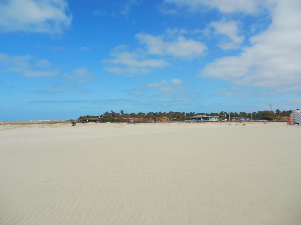 Noch Fragen Oasis Salinas Sea