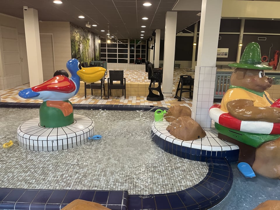 Pool Ferienpark Landal Hoog Vaals