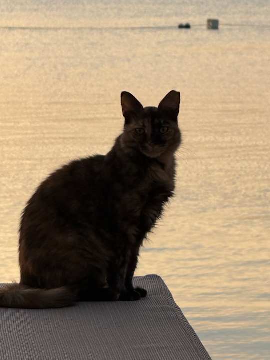 Strand The Grand Palace - Adults only