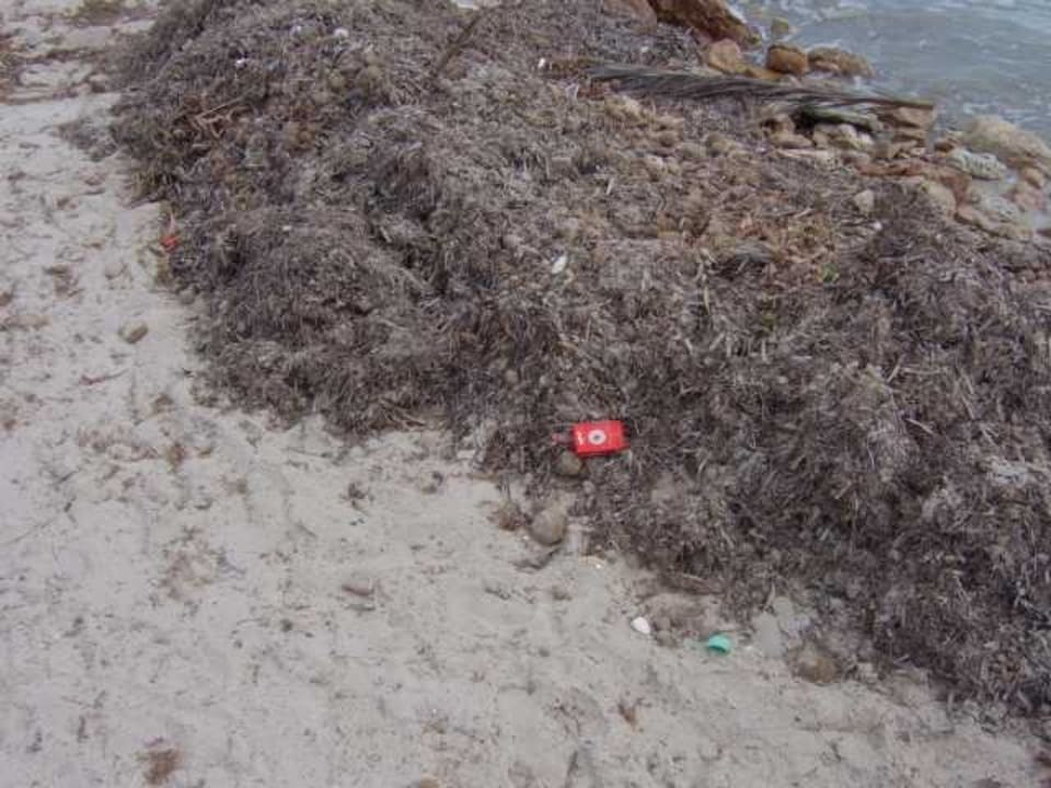 Strand Djerba Castille