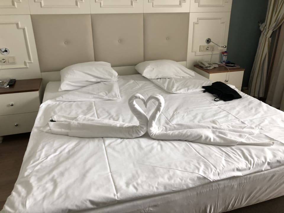 Zimmer Well Palace Side