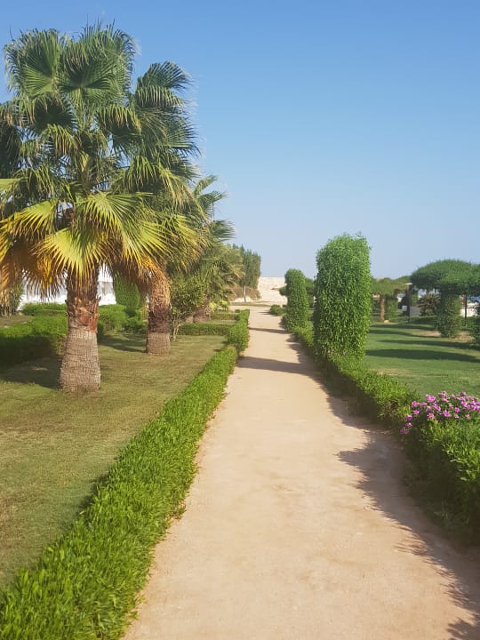 Gartenanlage Siva Sharm