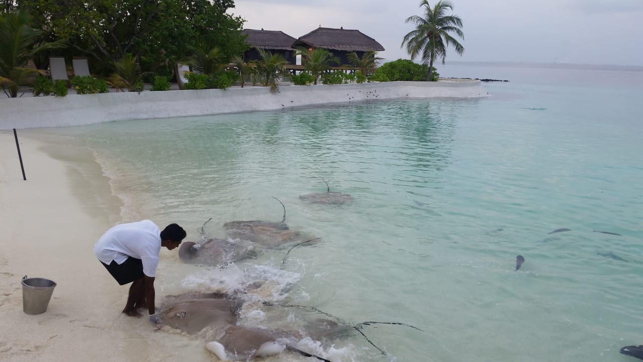 Strand OZEN RESERVE BOLIFUSHI