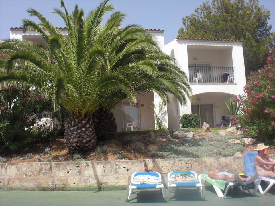 Blick vom Pool FERGUS Club Europa