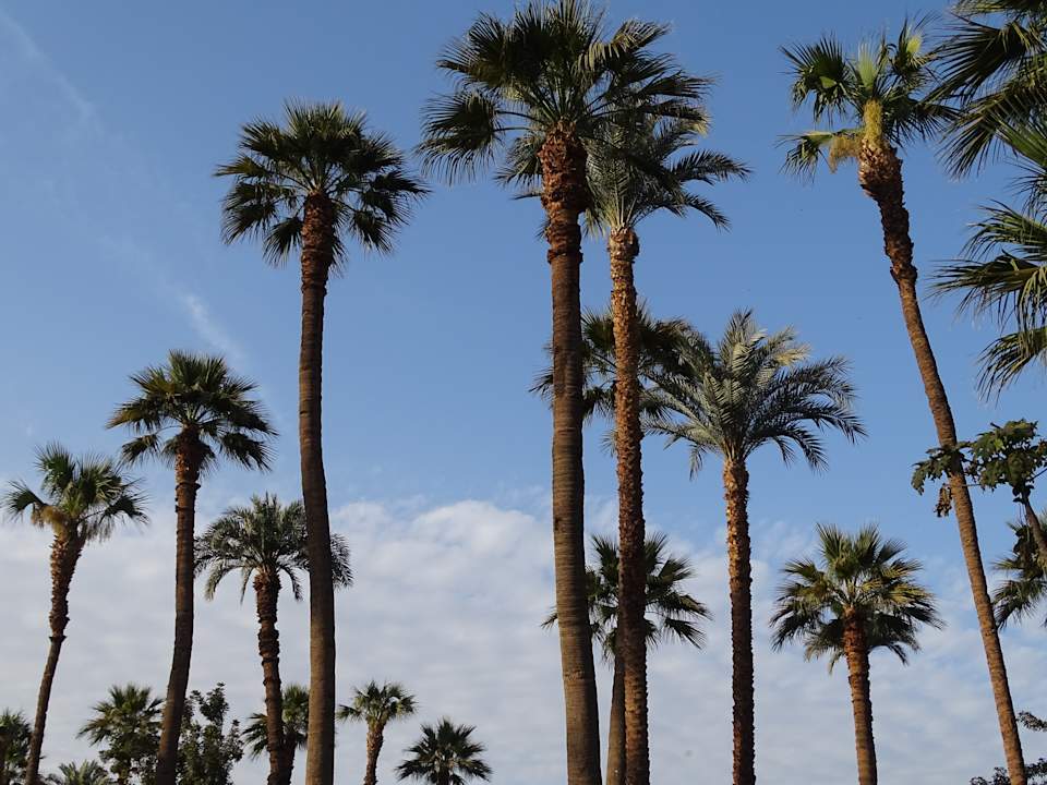 Gartenanlage Sofitel Winter Palace Luxor & Pavillon Winter Luxor