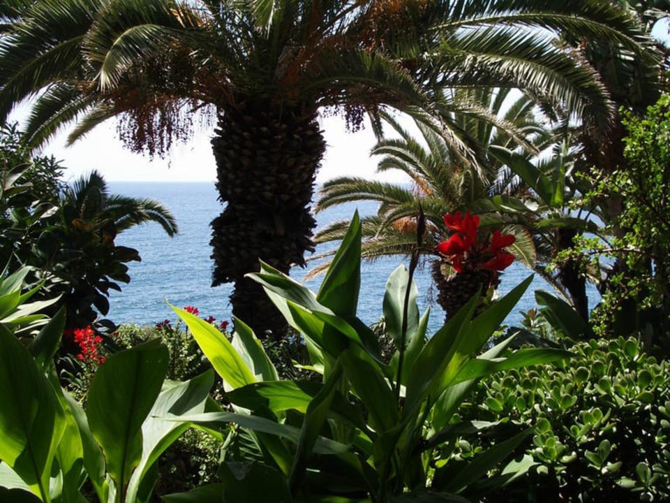 Garten Hotel Catalonia Punta del Rey