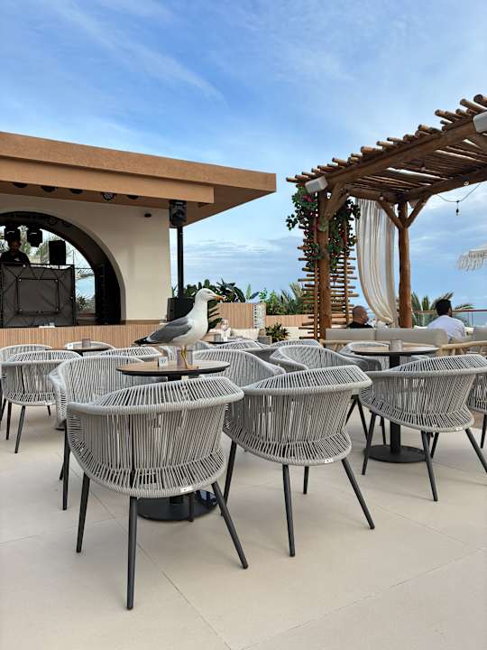 Gastro Hotel Riu Palace La Mola