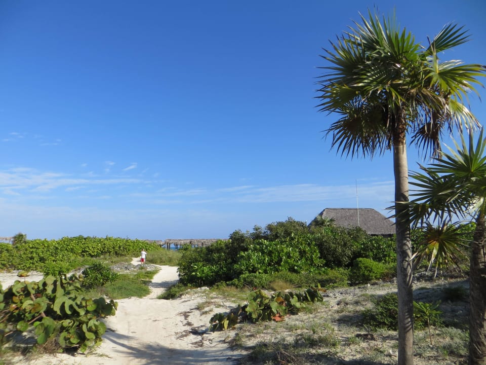 Einer der Zugänge zum Strand Playa Cayo Santa Maria