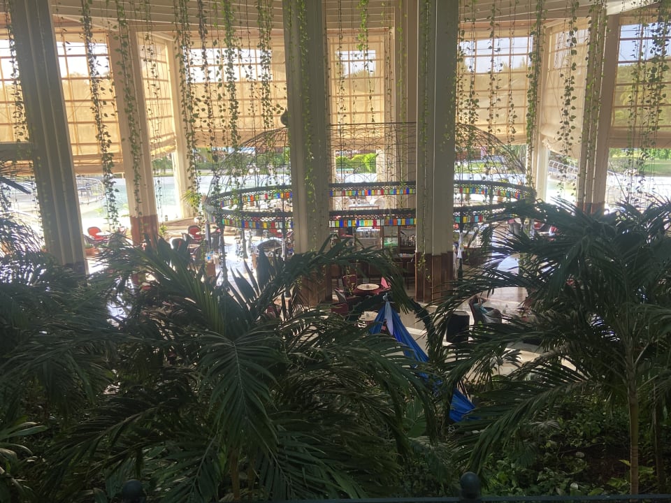 Gastro Blau varadero - Adults only