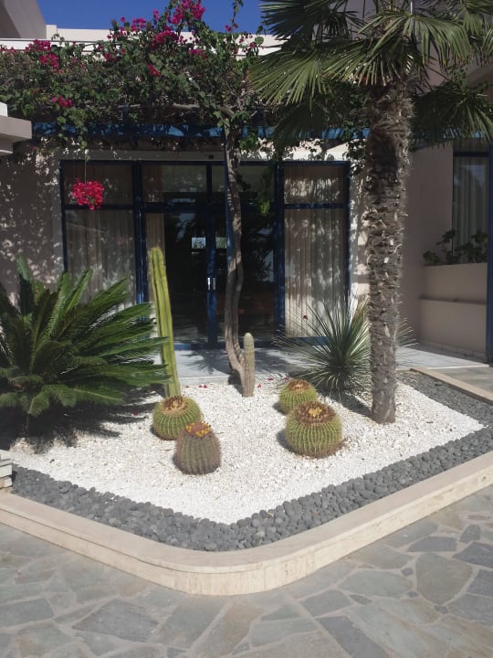 Hoteleingang Hotel Esperia