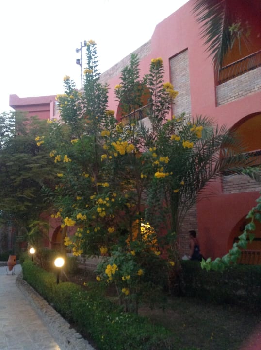 Aussenwege Arabia Azur Resort