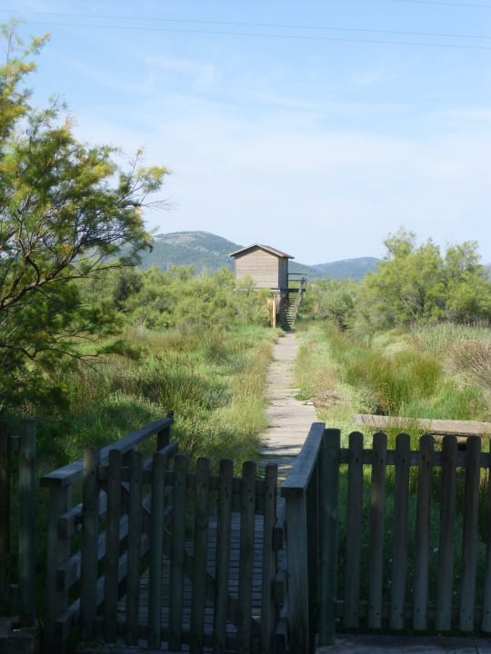 S`Albufereta PortBlue Club Pollentia Resort & Spa