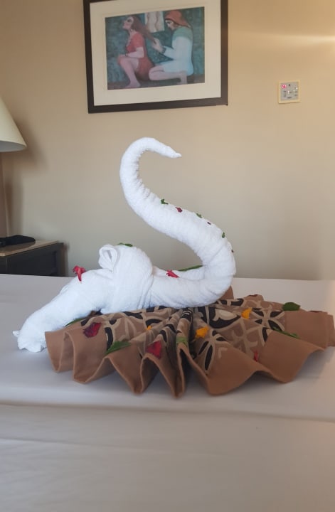 Zimmer Jaz Dar EL Madina