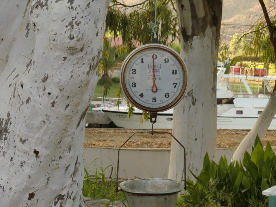 Obst - oder Fischwaage Corissia Beach Hotel