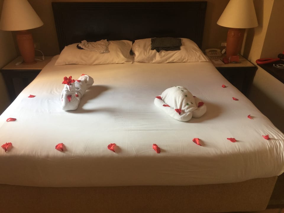 Zimmer Steigenberger Coraya Beach - Adults only