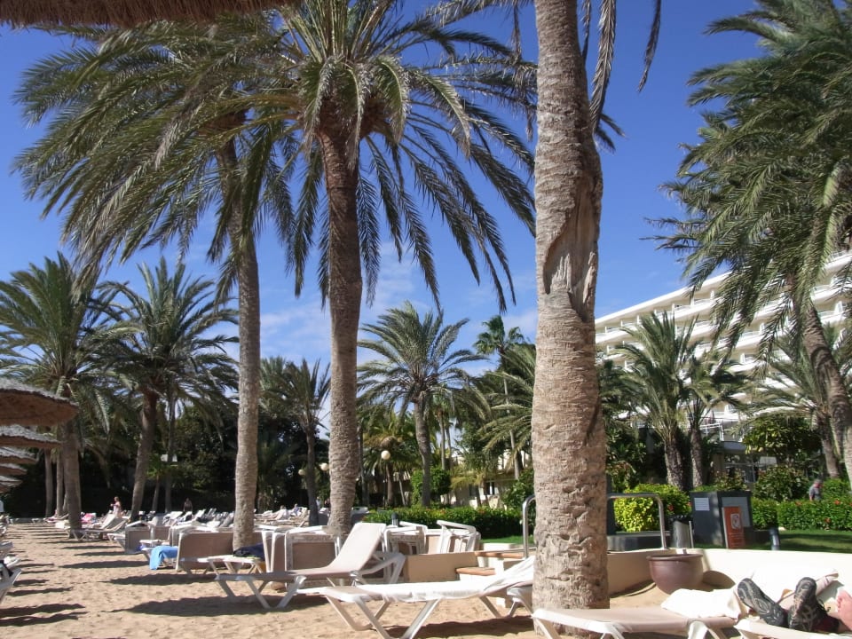 Garten Hotel Riu Oliva Beach Resort