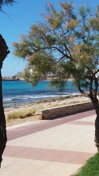 Türkises Meer Hotel Palia Sa Coma Playa
