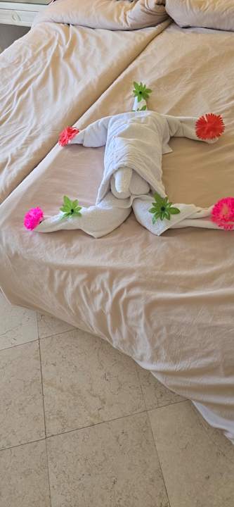 Zimmer Makadi Spa - Adults only