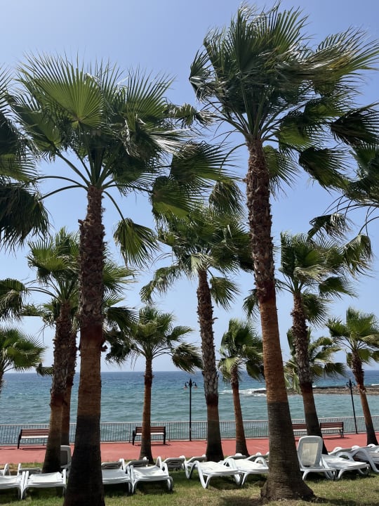 Ausblick Oz Hotels Incekum Beach