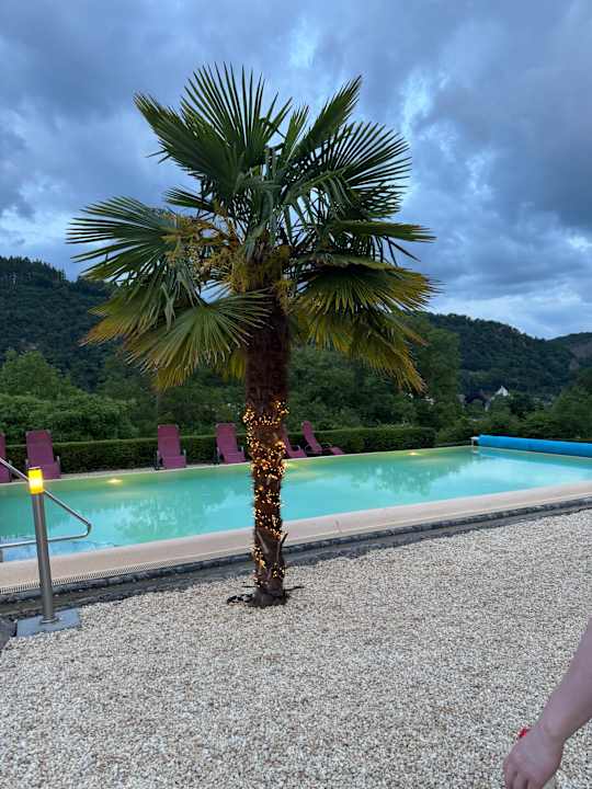 Ausblick Moselstern Parkhotel Krähennest