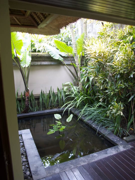 Eigener Fischtisch um die Villa The Ubud Village Resort & Spa