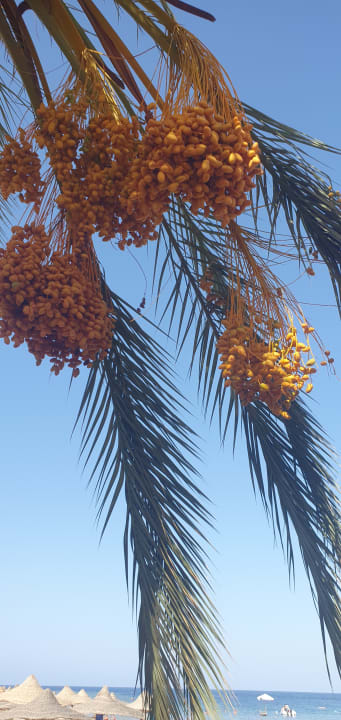 Strand Brayka Bay Resort