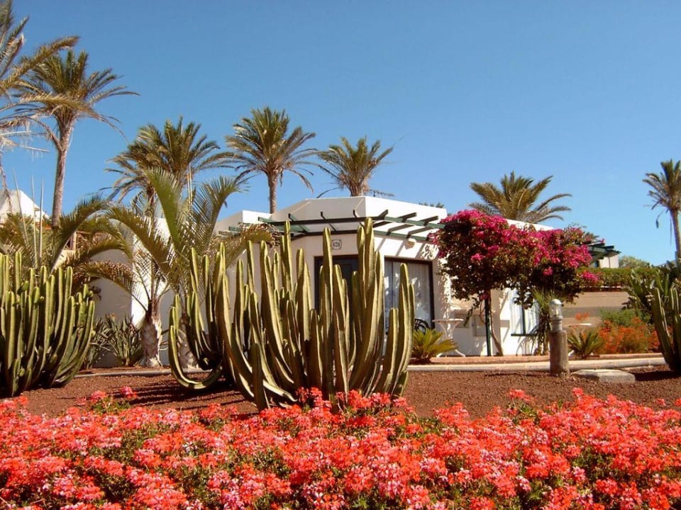 Hotel Club Playa Blanca - Außenanlage Hotel HL Club Playa Blanca